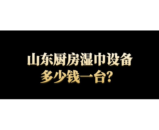 山東廚房濕巾設(shè)備多少錢一臺？