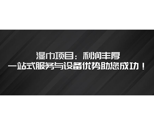 濕巾項(xiàng)目：利潤豐厚，一站式服務(wù)與設(shè)備優(yōu)勢(shì)助您成功！