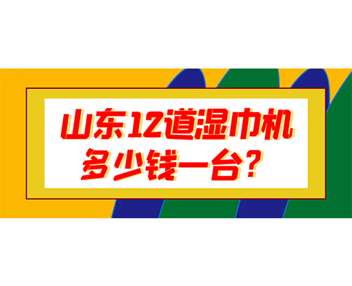 山東12道濕巾機多少錢一臺？
